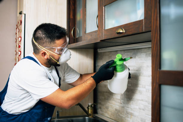 Best Pest Control Near Me  in Bloomington, TX