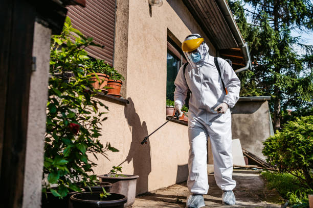 Best Affordable Pest Control Services  in Bloomington, TX