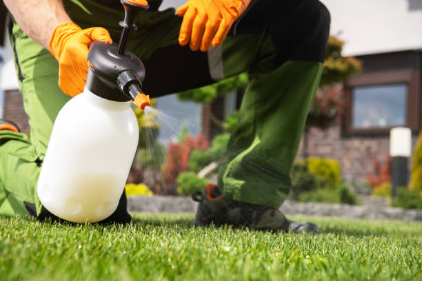 Best Pest Prevention Services  in Bloomington, TX