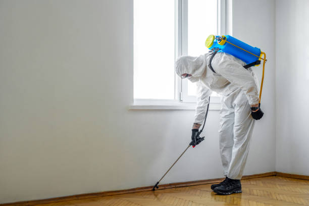 Best Mosquito Control Services  in Bloomington, TX