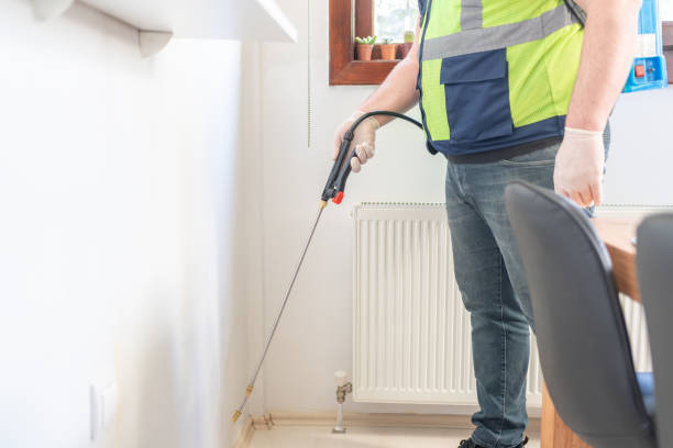 Best Termite Control Services  in Bloomington, TX
