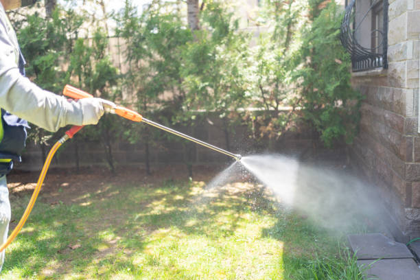 Best Exterminator Services  in Bloomington, TX